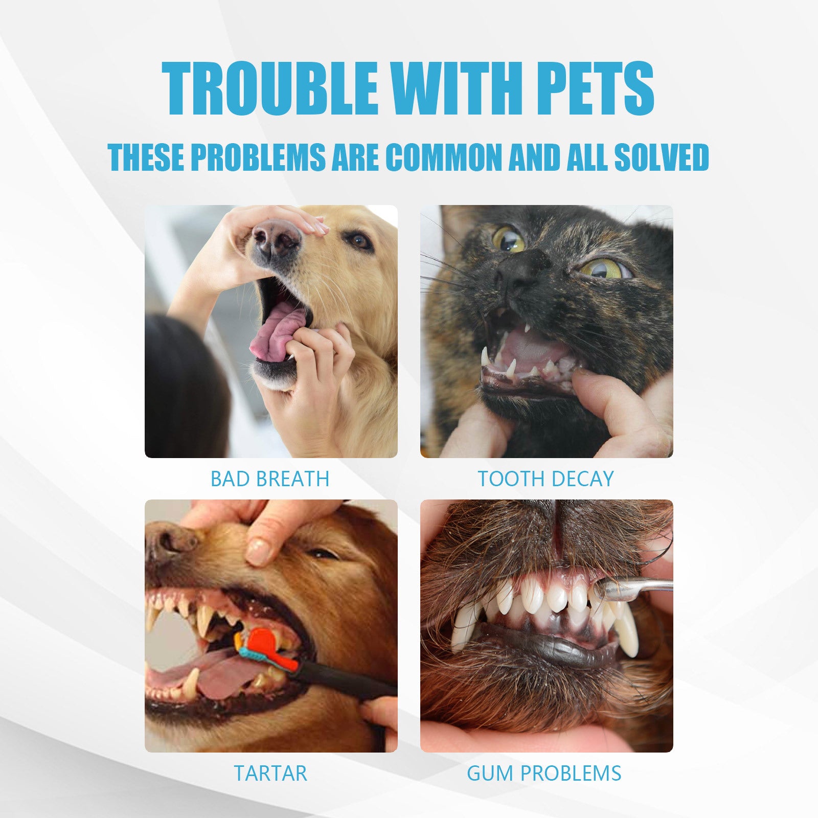 Fresh Breath Pet Toothpaste Dog In Addition To Bad Breath Tartar Cleaning Cat Oral Care Edible Toothpaste
